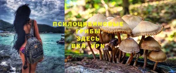 дистиллят марихуана Баксан