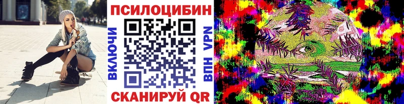 где можно купить наркотик Белёв Галлюциногенные грибы Magic Shrooms